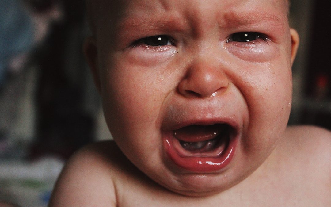 Les émotions ont un sens (vidéo)